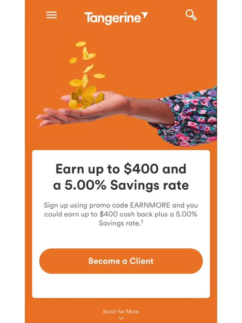 earn cash online without investment in india,Understanding the Concept